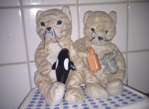 IMAG0231